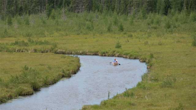 Stewart River